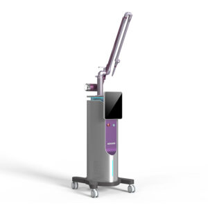 Professional Portable Co2 Fractional Laser Machine Bison Device 4d Fotona Mini Skin Stretch Marks Treatment Device